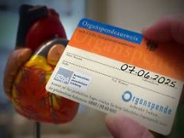 Nieren machen größten Anteil aus: Zahl der Organspender erreicht höchsten Stand seit über zehn Jahren